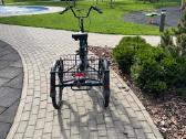 Pfautec Grazia elektrinis suaugusiųjų triratis - nuotraukos Nr. 11