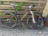 Dviratis Trek