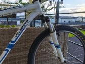 MTB dviratis Specialized 19 dydis, su dokumentais - nuotraukos Nr. 3