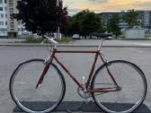 Single speed dviratis 55"