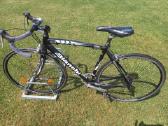 Plento sportinis dviratis Bianchi