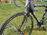 Plento sportinis dviratis Bianchi - nuotraukos Nr. 3