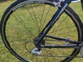 Plento sportinis dviratis Bianchi - nuotraukos Nr. 4