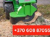Medžių pjovimas, genėjimas / Aplinkos tvarkymas - nuotraukos Nr. 11
