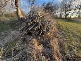Sodybų, sklypų tvarkymas, paruošimas pardavimui - nuotraukos Nr. 6