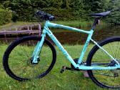 Bianchi c sport 2