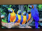 LG Oled55g13la Oled 4k 120hz Gaming Youtube Go3