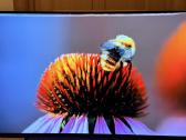 Sony Kd55a89 Oled 4k 120hz Sony Bravia Android TV - nuotraukos Nr. 4