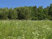 Parduodamas žemės sklypas/sodyba - nuotraukos Nr. 9