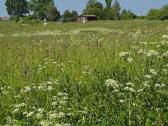 Parduodamas žemės sklypas/sodyba - nuotraukos Nr. 10