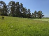 Parduodamas žemės sklypas/sodyba - nuotraukos Nr. 11