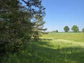 Parduodamas žemės sklypas/sodyba - nuotraukos Nr. 13