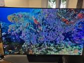 Televizorius Oled LG 55bx3lb - nuotraukos Nr. 2