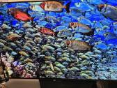 Televizorius Oled LG 55bx3lb - nuotraukos Nr. 3