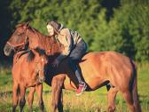 Parduodama 8 metų kumelinga kumelė - nuotraukos Nr. 3