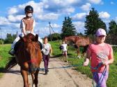 Parduodama 8 metų kumelinga kumelė - nuotraukos Nr. 9