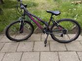 „Conway" markes kalnų dviratis (MTB)