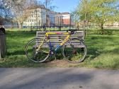 Scapin ks pro 56cm columbus - nuotraukos Nr. 2