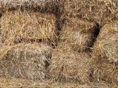 Parduodami šiaudų ryšuliai – 100 vnt. - nuotraukos Nr. 2
