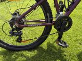 Dviratis Scott Contessa 26 Disc - nuotraukos Nr. 6