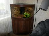 Juwel LED Trigon 190 Akvariumas kampinis
