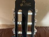 Guitar - nuotraukos Nr. 2