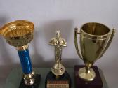 Sportines taures