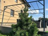 Pergola - nuotraukos Nr. 8