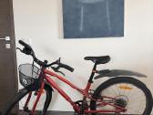 Specialized Jett 24