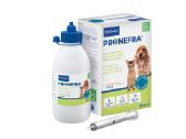 Pronefra