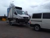 Tralo-automobilvežio paslaugos, krovinių gabenimas - nuotraukos Nr. 14
