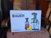 Sulciaspaude Bauer letaeige
