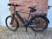 Gazelle Ultimate Bosch Smart diržas