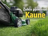 Žolės pjovimas