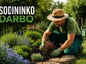 Sodininko Paslaugos žolės pjovimas, sodo priežiura
