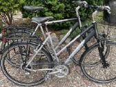 Raleigh Sacramento vyr.ir mot.