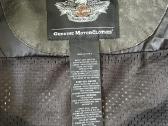 Striuke Harley-davidson - nuotraukos Nr. 6