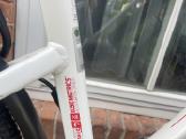 Elektrinis dviratis Velocytienergy - nuotraukos Nr. 12