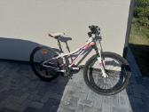 Kellys Kiter 50 dviratis