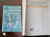 Elnio galvos iškamša, ragai, trofėjai. dekoracijos - nuotraukos Nr. 8