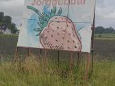 Pirkčiau kambarį bendrabutyje