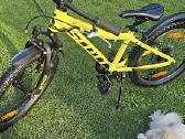Scott scale 20 dviratis