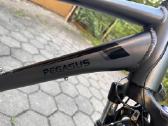 Miesto dviratis Pegasus Premio SL Disk - nuotraukos Nr. 7