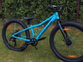 Scott roxter team 24 disc