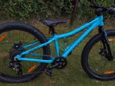 Scott roxter team 24 disc - nuotraukos Nr. 2