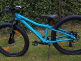Scott roxter team 24 disc - nuotraukos Nr. 3