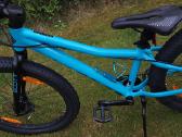 Scott roxter team 24 disc - nuotraukos Nr. 4