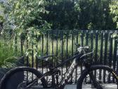 Trek Rail M 29 Bosch CX 625wh GX AXS / Mt7