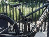 Trek Rail M 29 Bosch CX 625wh GX AXS / Mt7 - nuotraukos Nr. 5