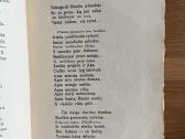Vytauto karžygiai 1932 m. - nuotraukos Nr. 3